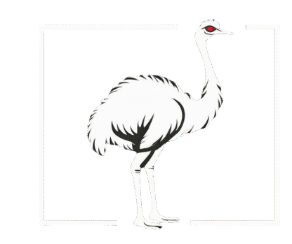 raw stitch logo 1 removebg preview