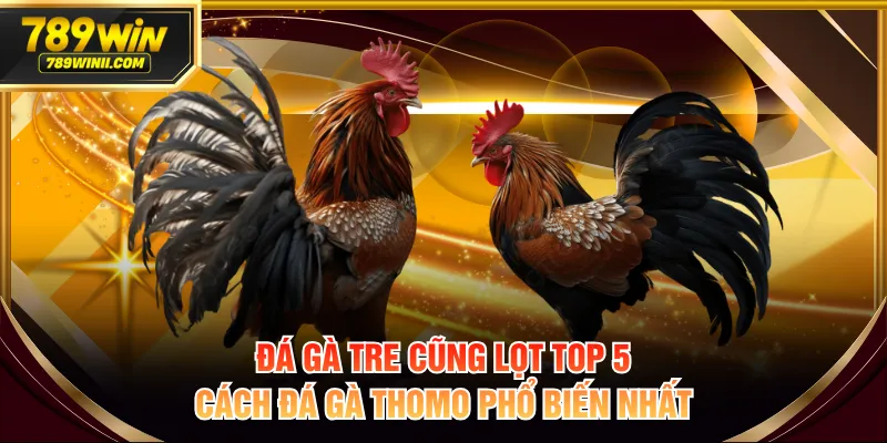 Đá gà tre cũng lọt top 5 cách đá gà Thomo phổ biến nhất